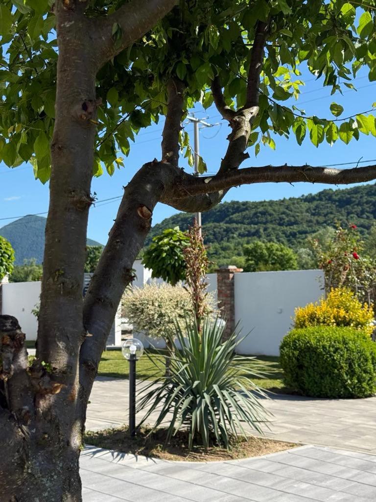 Сasa de vacaciones Family Estate Hadzalova Avlija